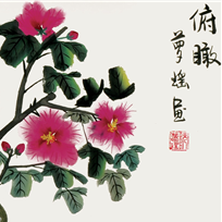 俯瞰