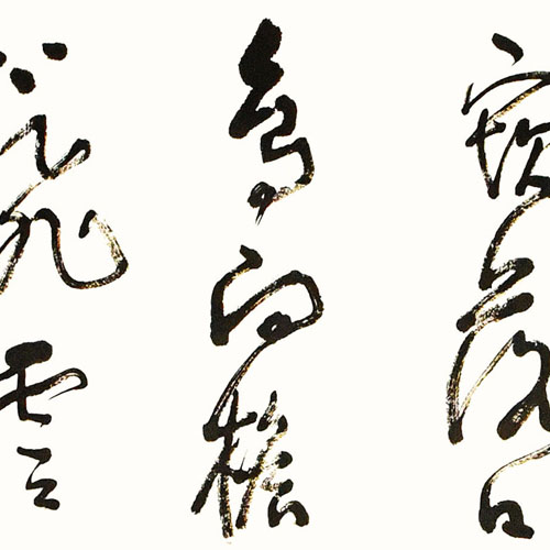 阮梦瑶xxx.jpg