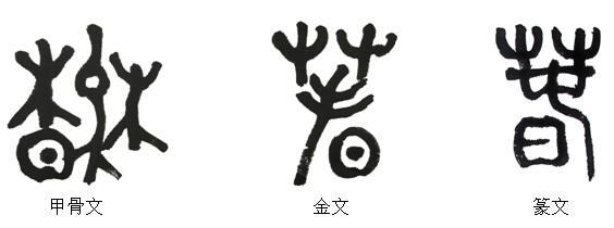 QQ截图20191031122205.jpg