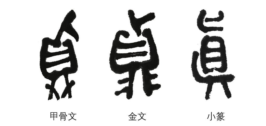 真.png