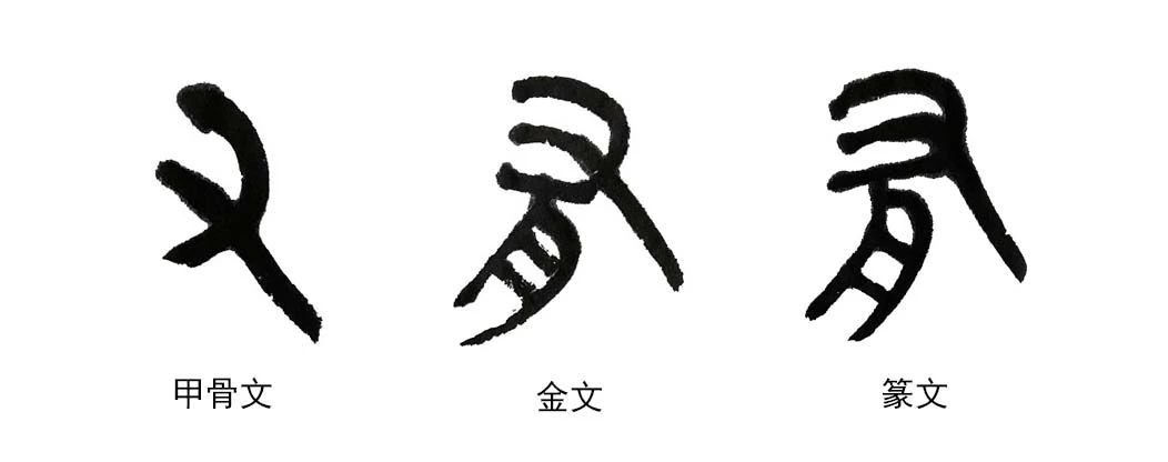 微信图片_20240611182747.jpg