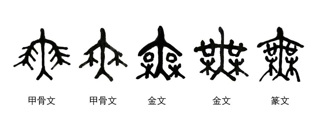 微信图片_20240611184304.jpg