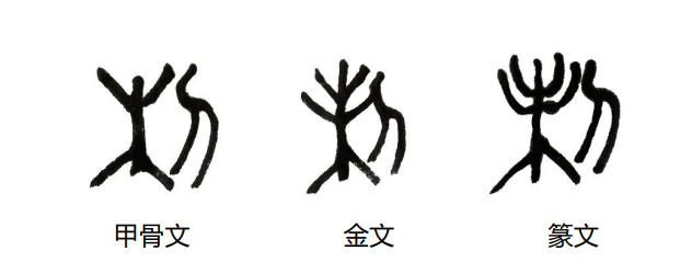 微信图片_20240611193234.png